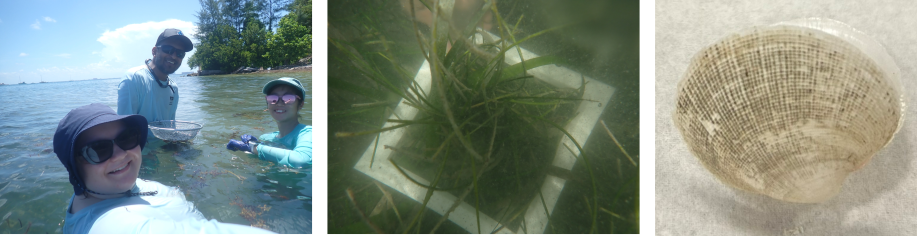 Summer 2026 Field Work