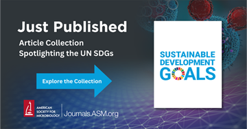 SDG Spotlight